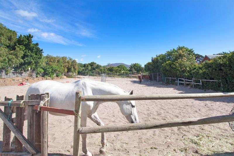 4 Bedroom Property for Sale in Meadowsteads Western Cape